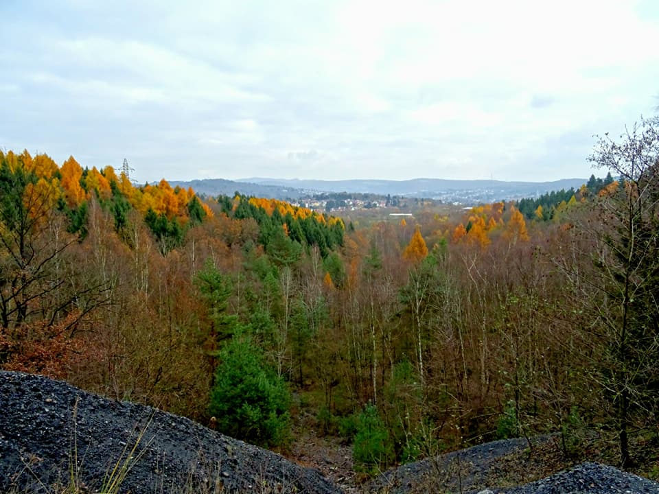 Dreischleifenweg Kohlwald