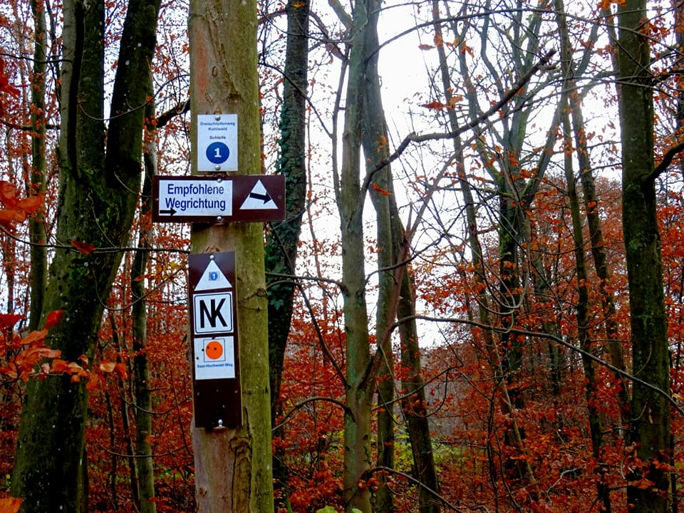 Dreischleifenweg Kohlwald