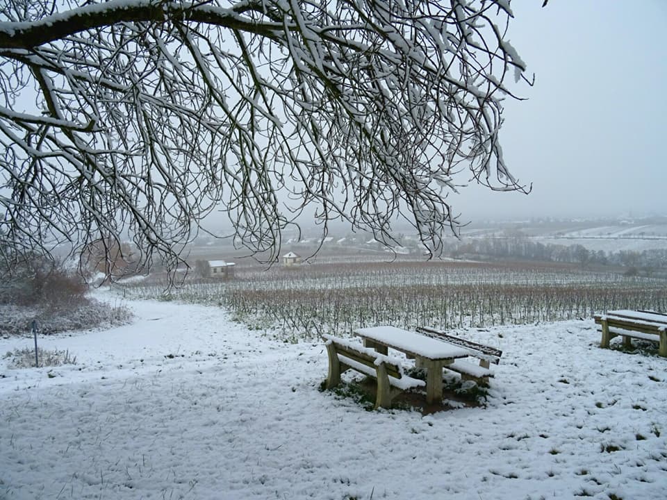 Großer Guggemolweg