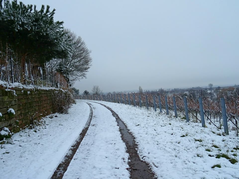 Großer Guggemolweg