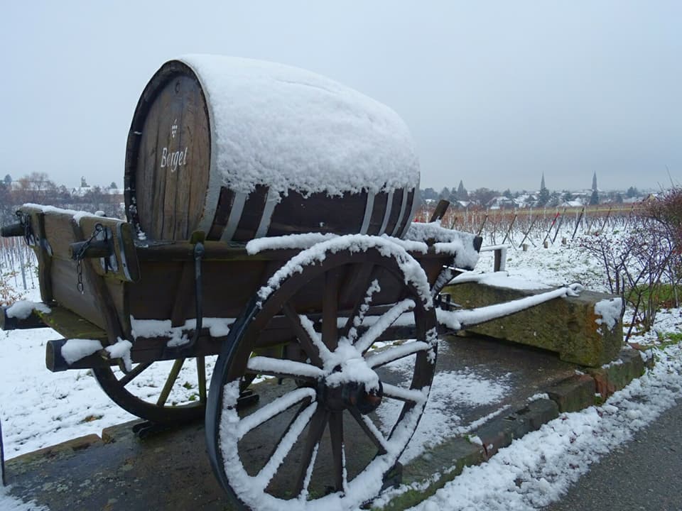 Großer Guggemolweg