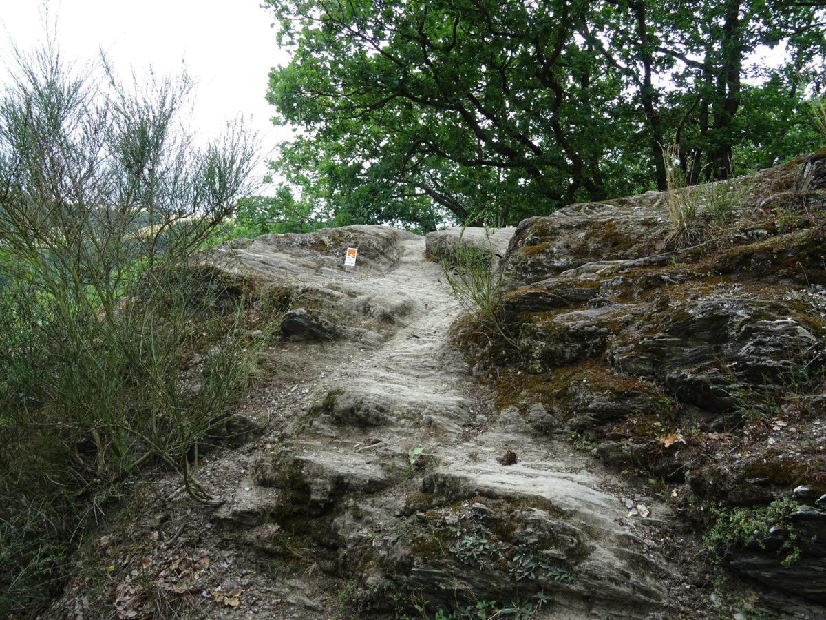 Traumpfad Nette-Schieferpfad