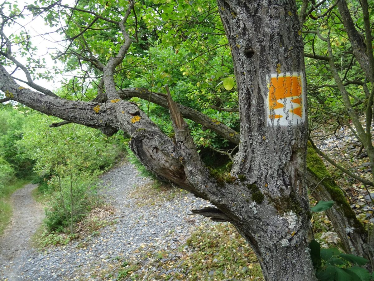 Traumpfad Nette-Schieferpfad