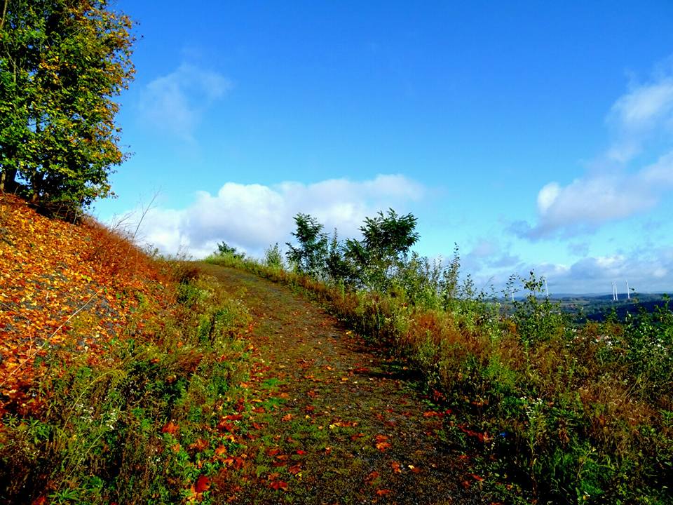 Redener Panoramapfad