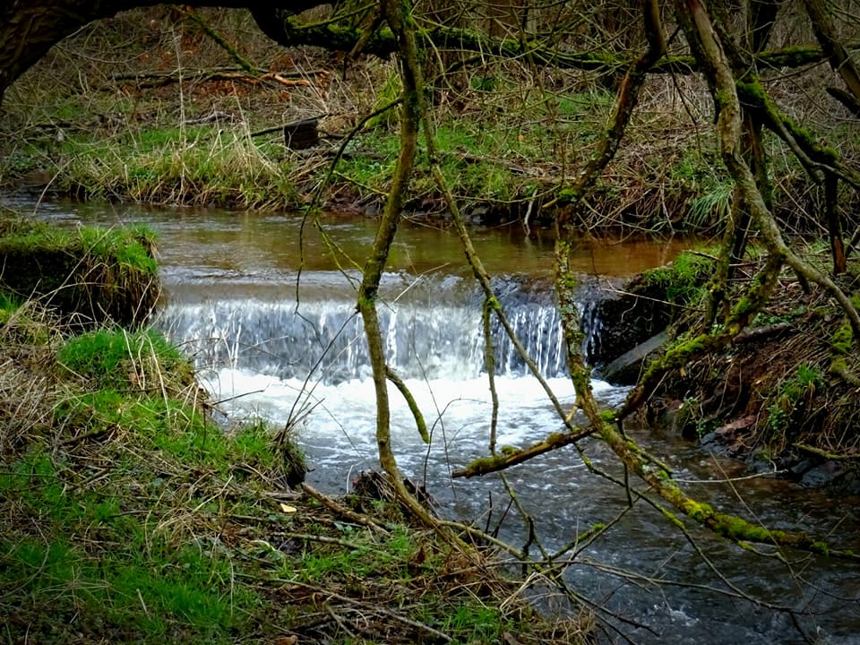 Traumschleife Himmels Gääs Pad