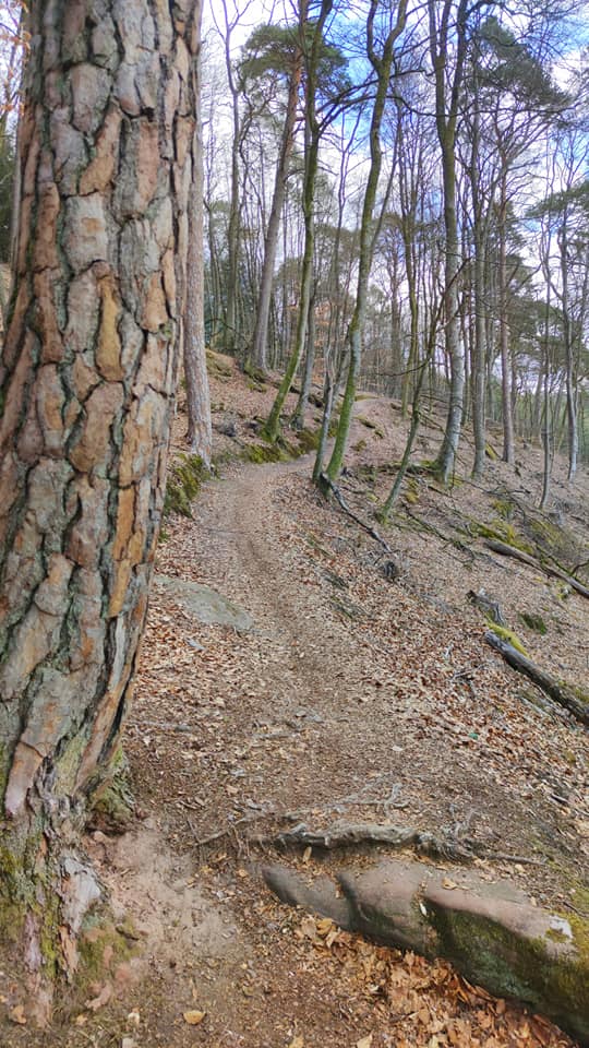 Hinterweidenthaler Teufelstisch-Tour