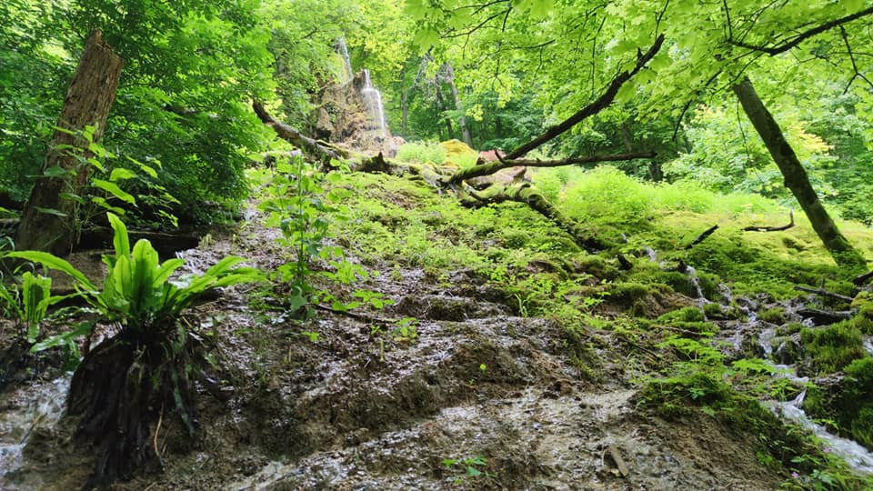 Bad Uracher Wasserfallsteig