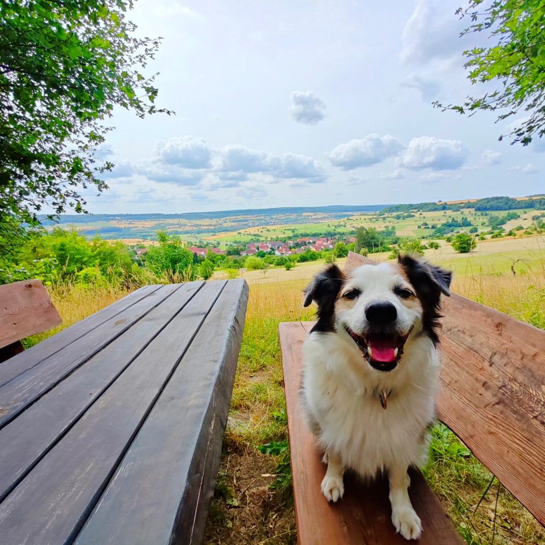 Schornwald Runde