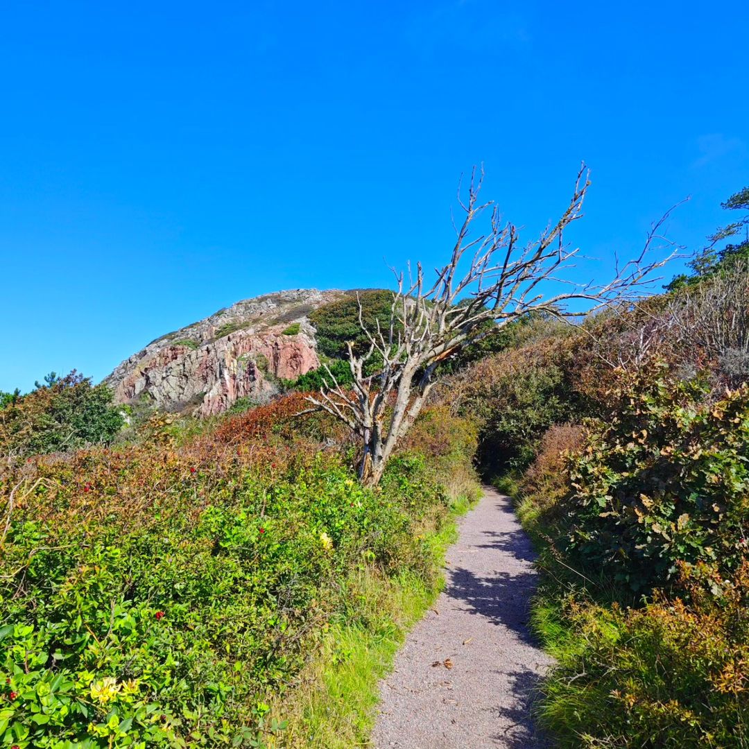 Küstenwanderweg Mölle – Naturreservat Kullaberg